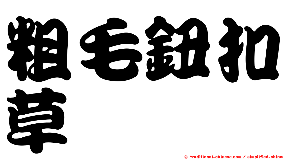 粗毛鈕扣草