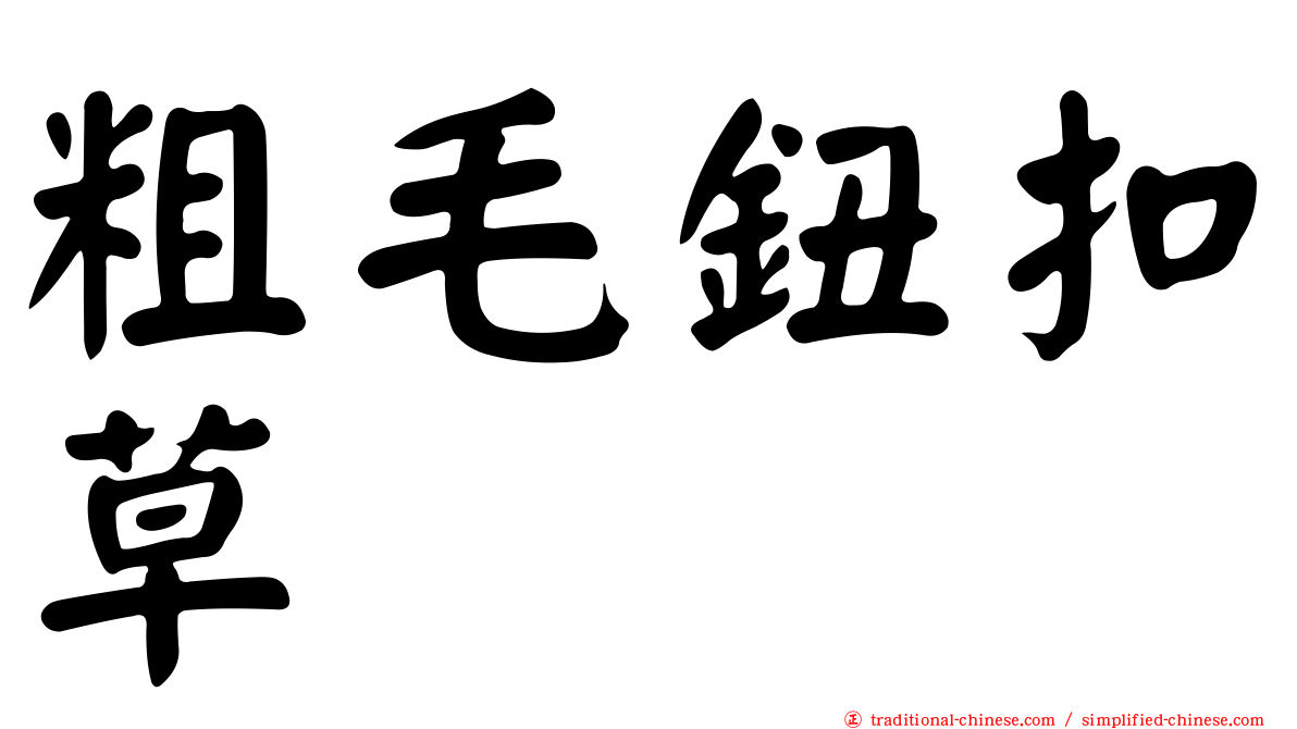 粗毛鈕扣草