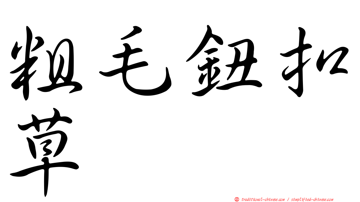 粗毛鈕扣草