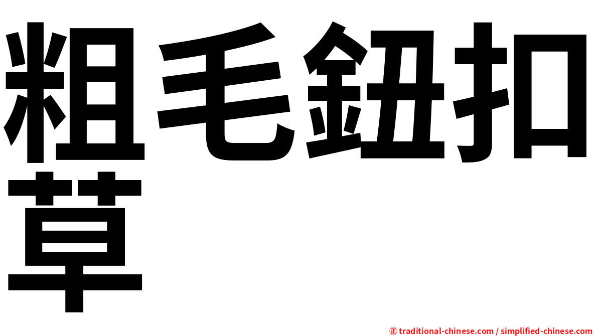 粗毛鈕扣草