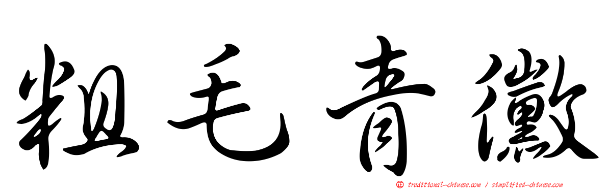 粗毛青黴