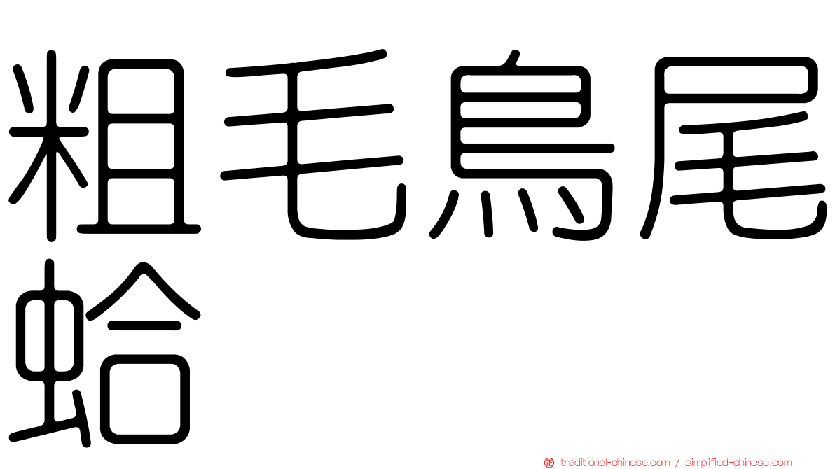 粗毛鳥尾蛤