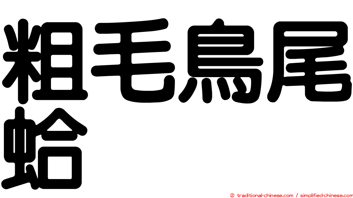 粗毛鳥尾蛤