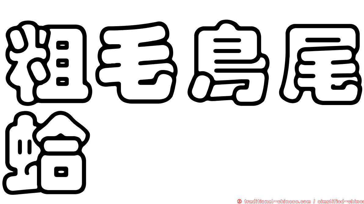 粗毛鳥尾蛤
