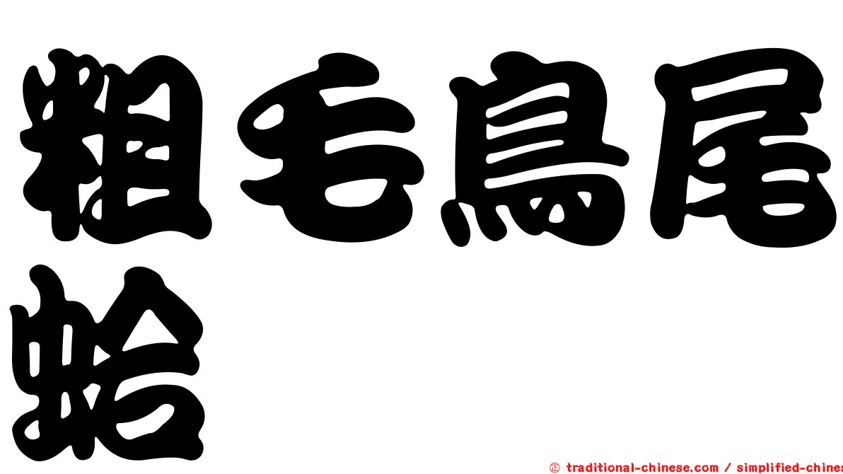 粗毛鳥尾蛤