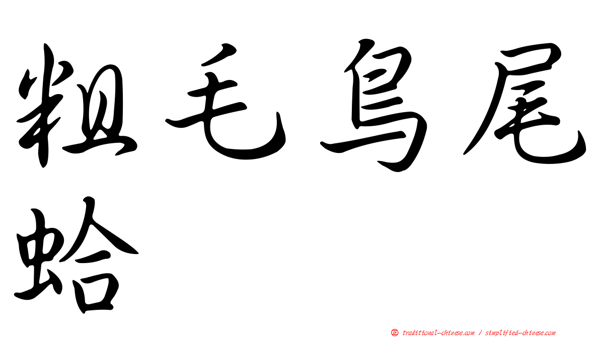 粗毛鳥尾蛤