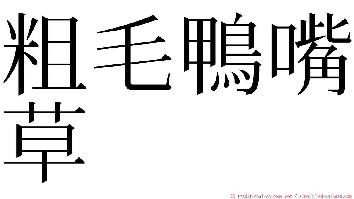 粗毛鴨嘴草 ming font