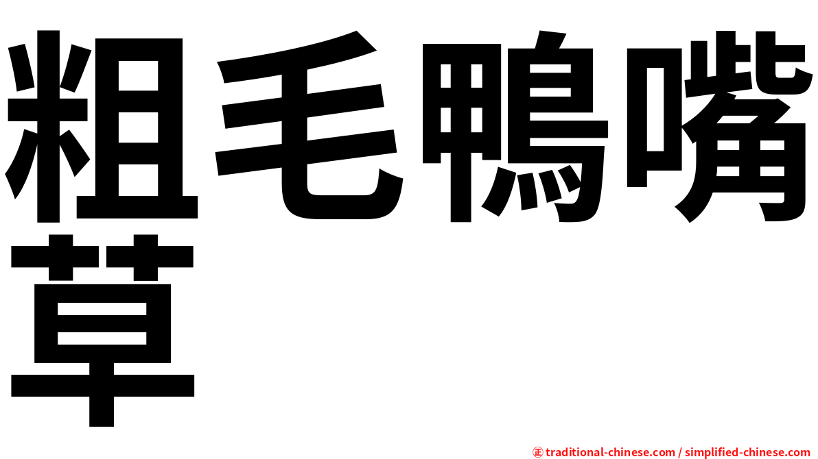 粗毛鴨嘴草