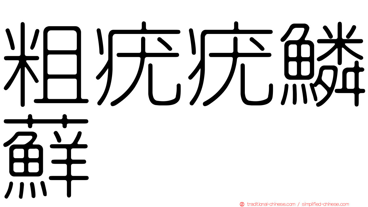 粗疣疣鱗蘚
