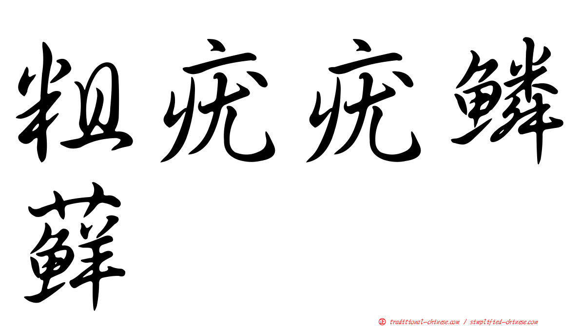 粗疣疣鱗蘚