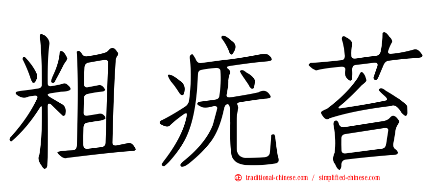 粗疣苔
