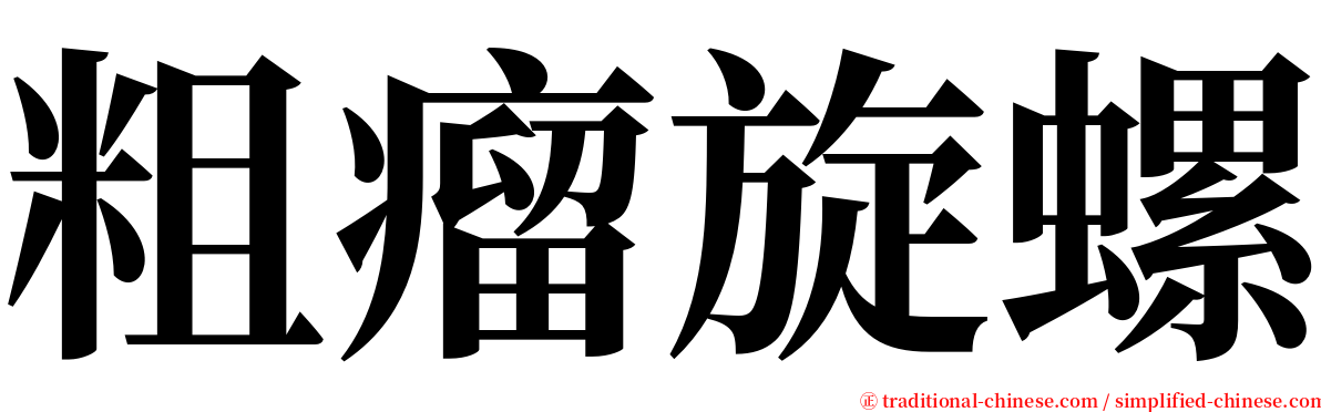 粗瘤旋螺 serif font