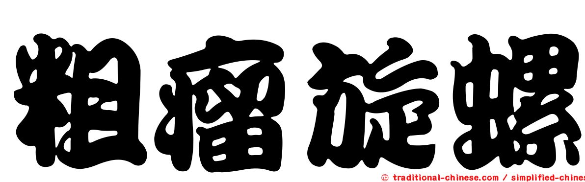 粗瘤旋螺