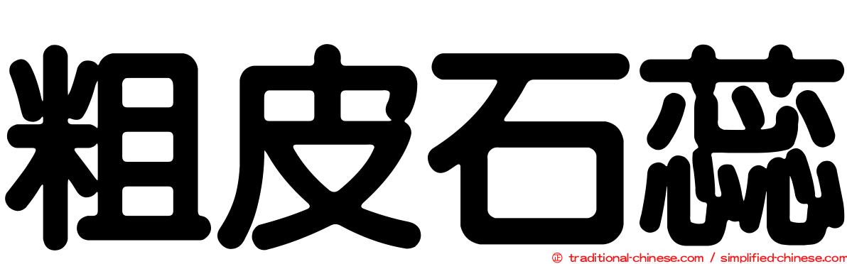 粗皮石蕊