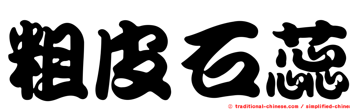 粗皮石蕊