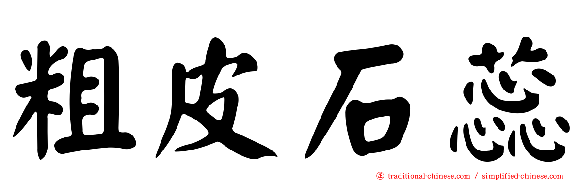 粗皮石蕊