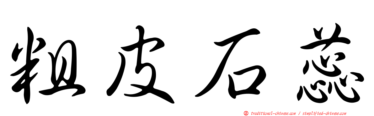 粗皮石蕊