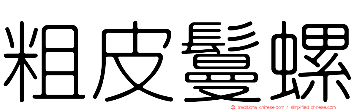 粗皮鬘螺