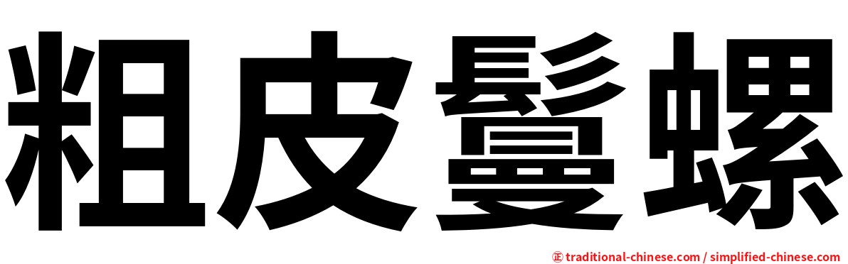 粗皮鬘螺