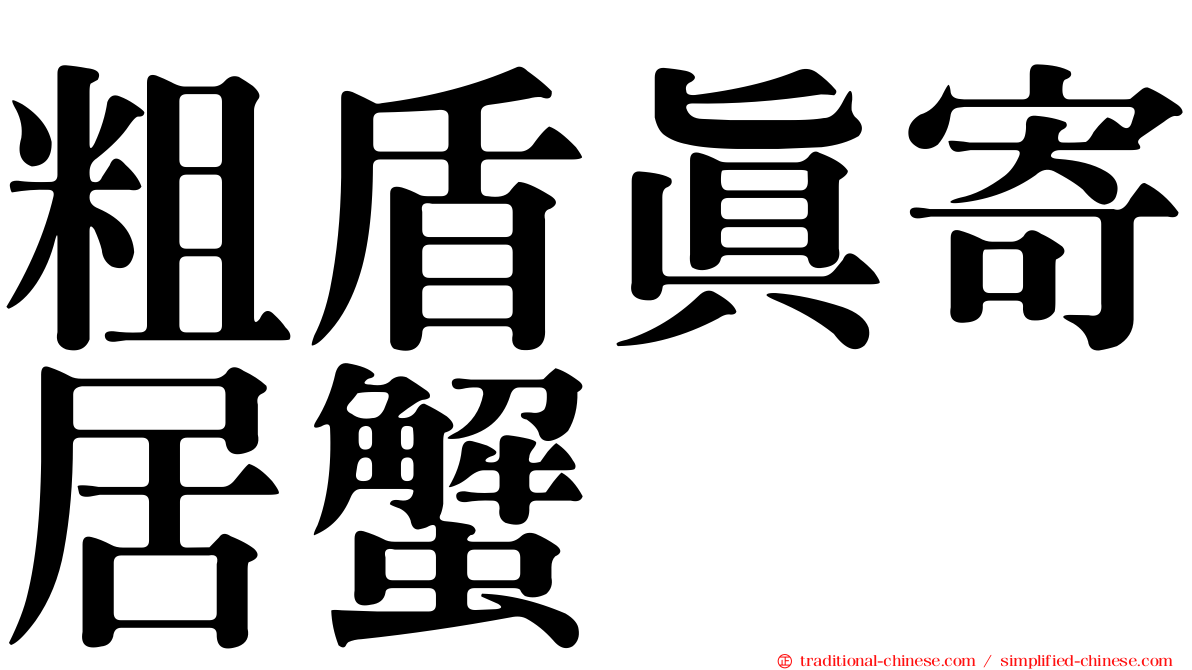 粗盾真寄居蟹