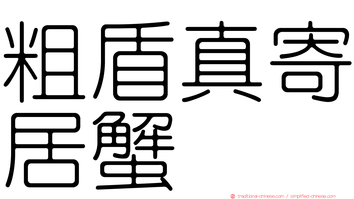 粗盾真寄居蟹