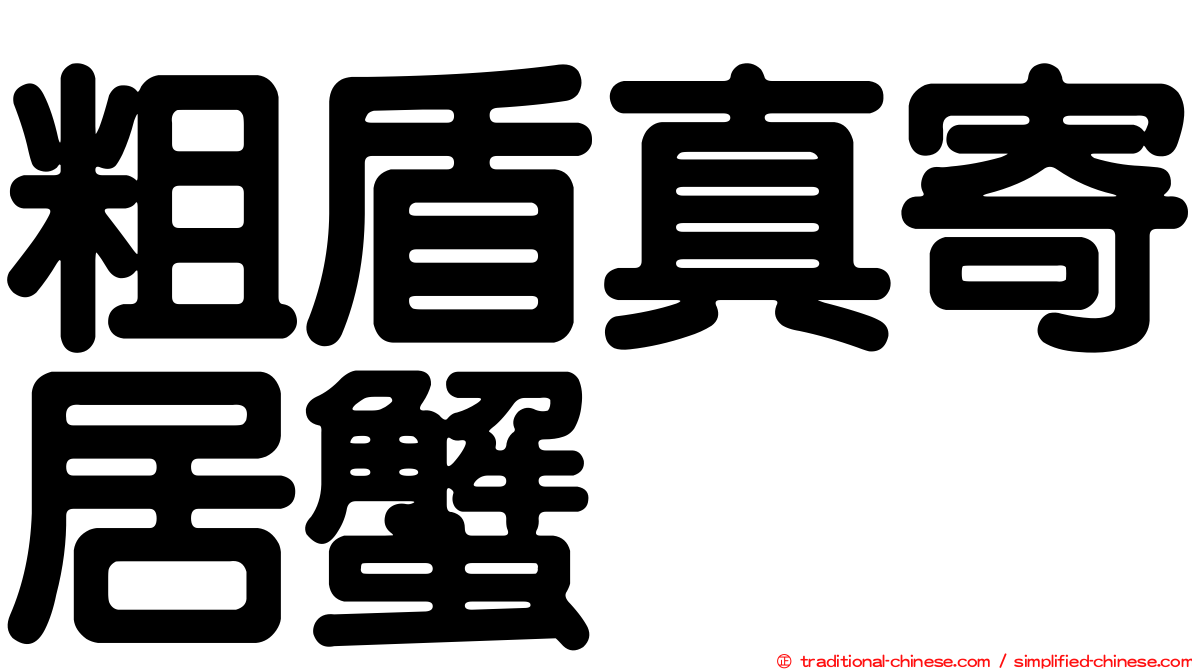 粗盾真寄居蟹