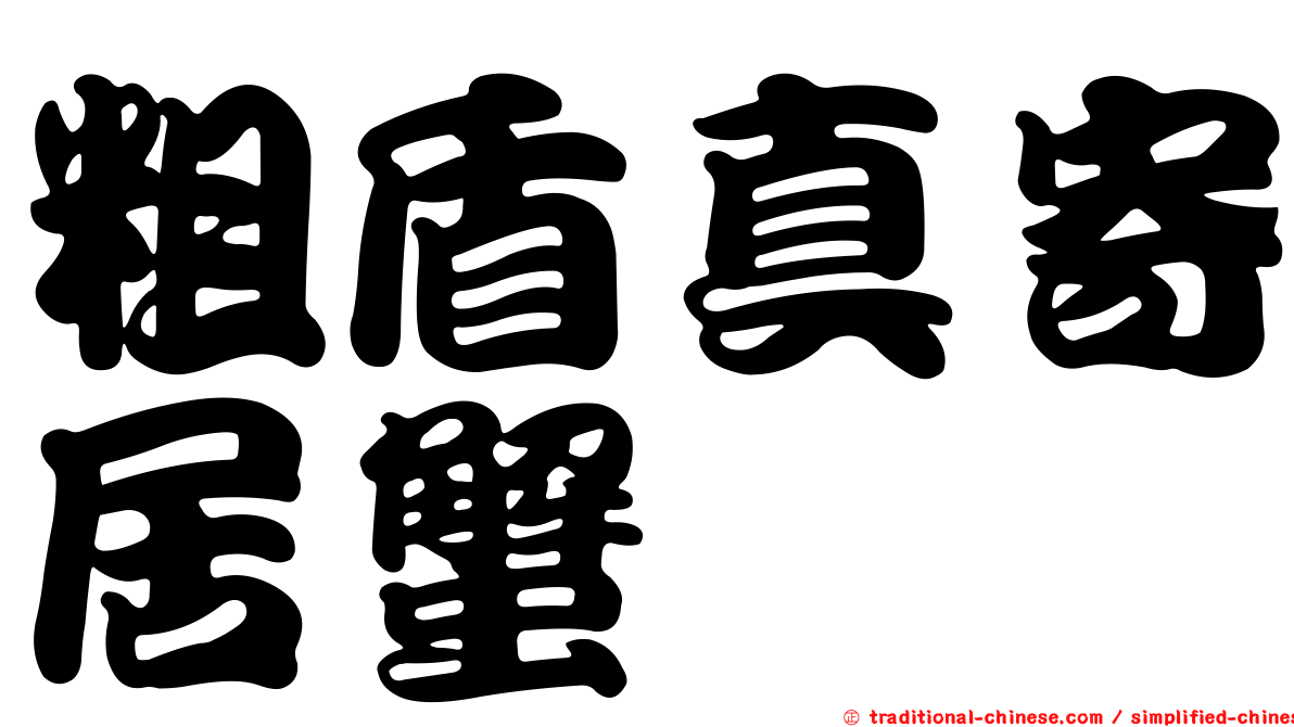 粗盾真寄居蟹