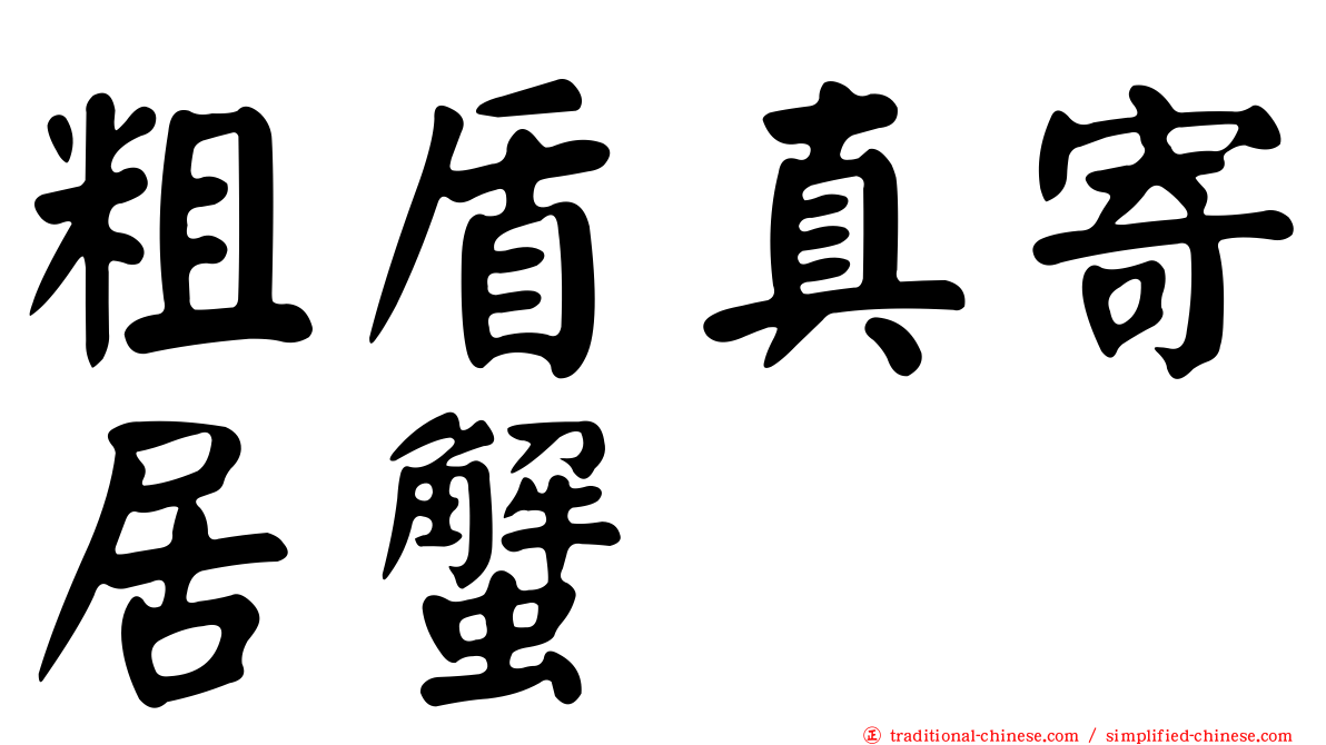 粗盾真寄居蟹