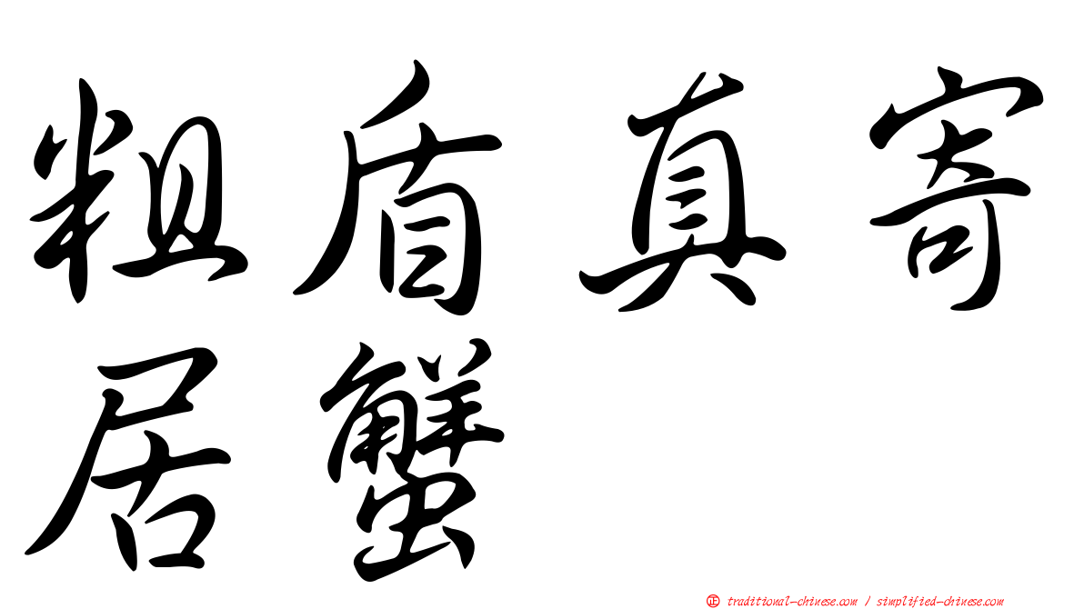 粗盾真寄居蟹