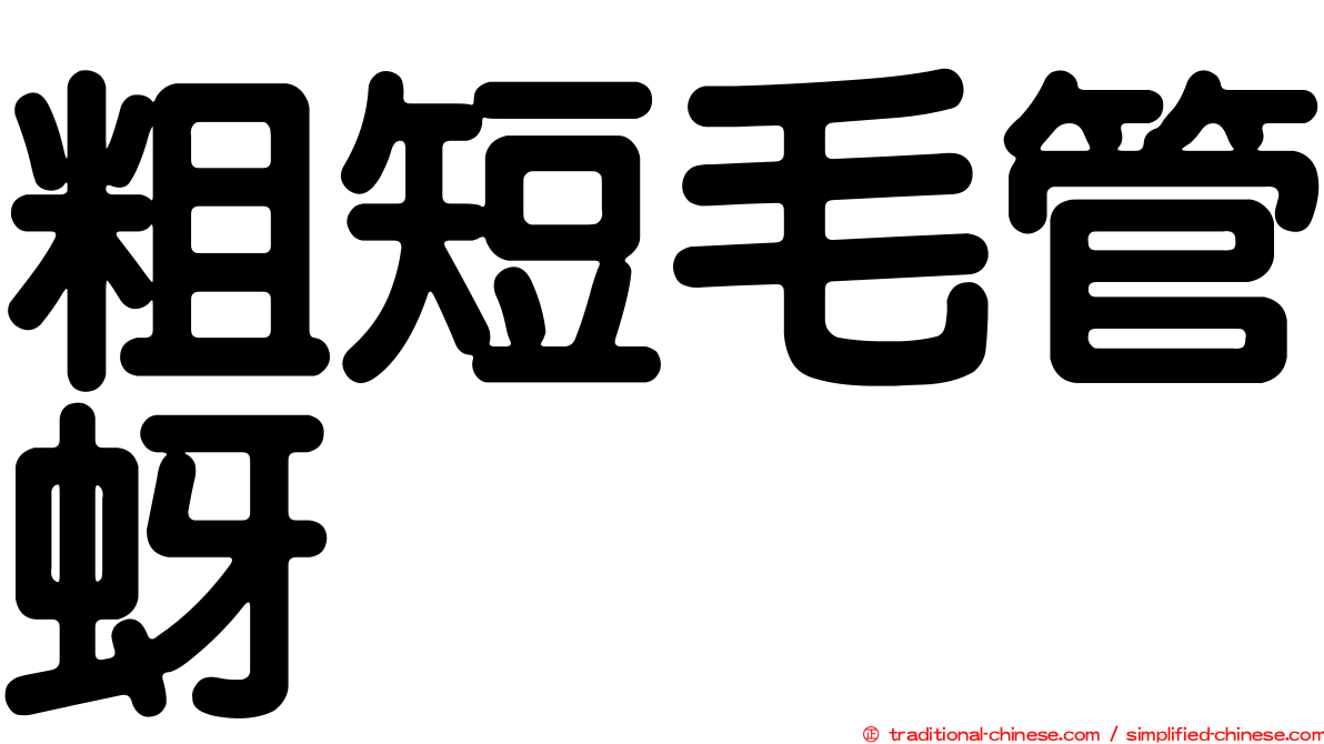 粗短毛管蚜