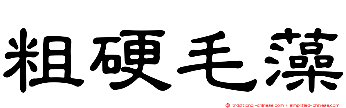 粗硬毛藻