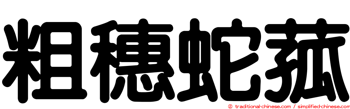 粗穗蛇菰