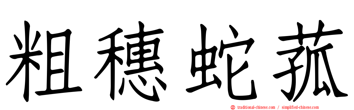 粗穗蛇菰