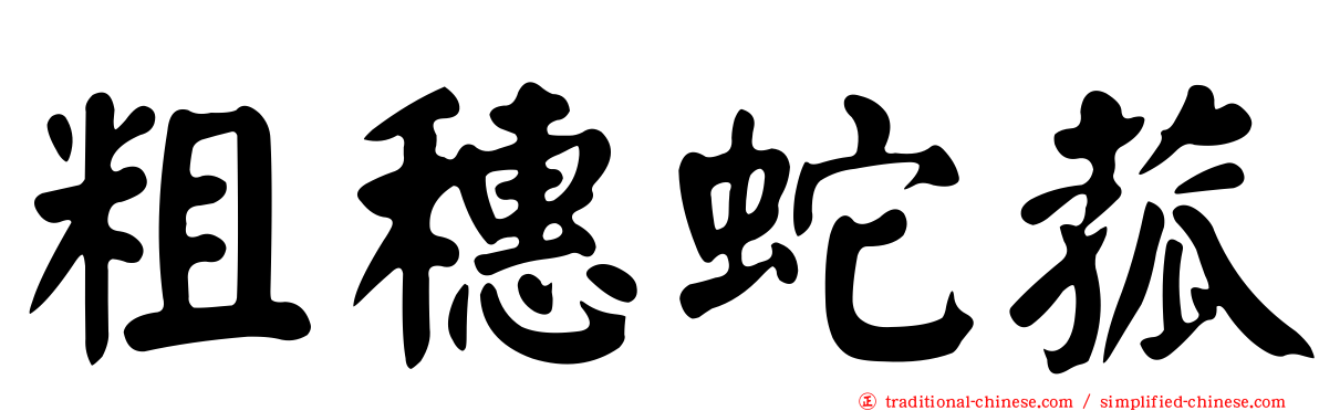 粗穗蛇菰