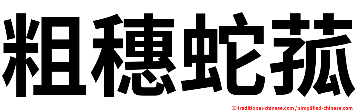 粗穗蛇菰