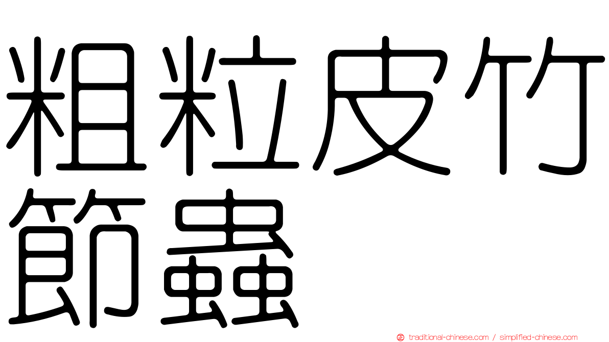 粗粒皮竹節蟲