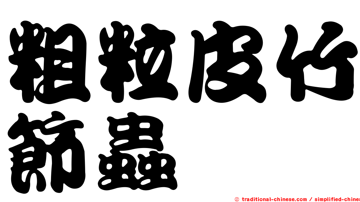粗粒皮竹節蟲