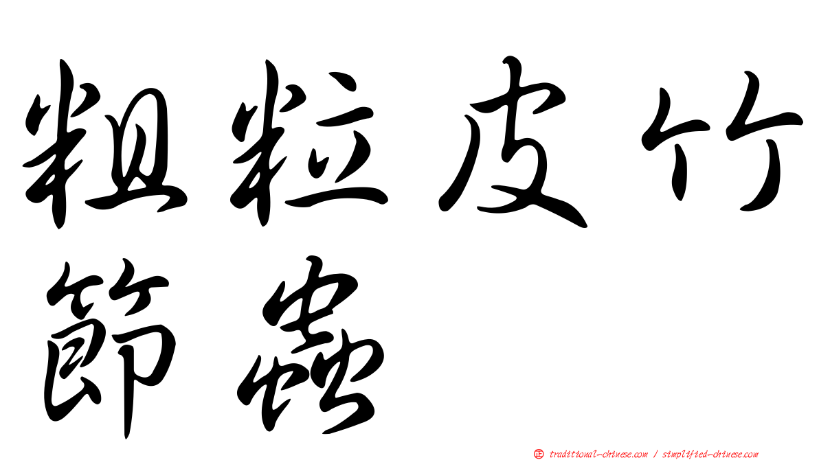 粗粒皮竹節蟲