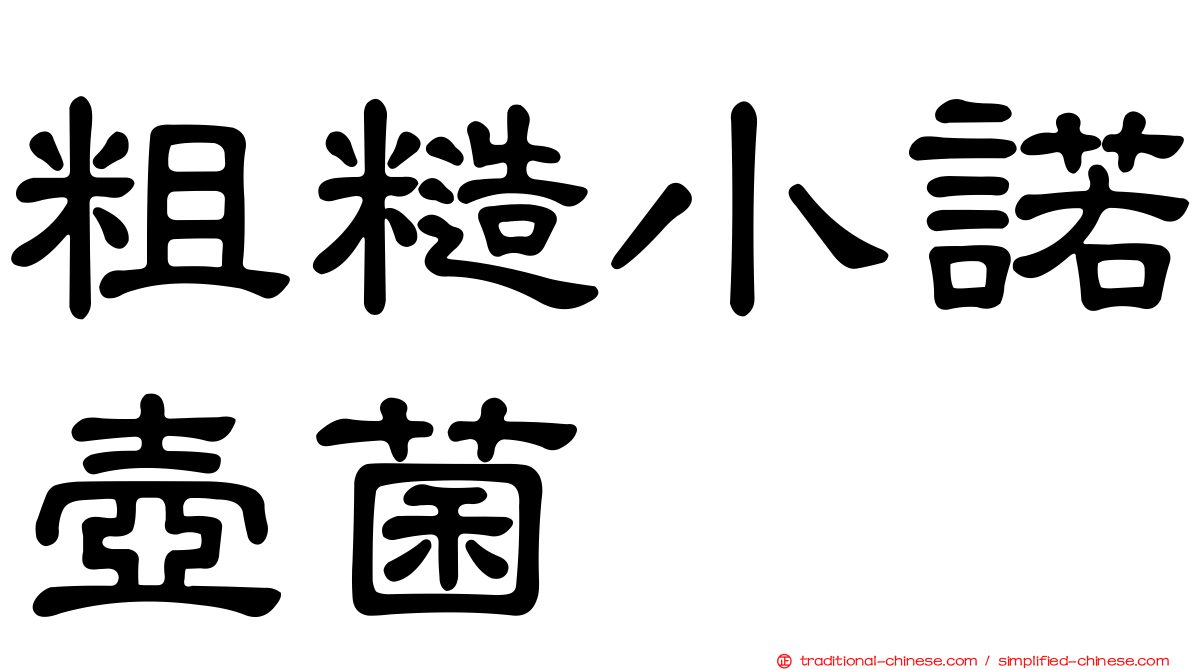 粗糙小諾壺菌