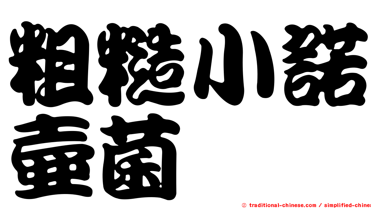 粗糙小諾壺菌