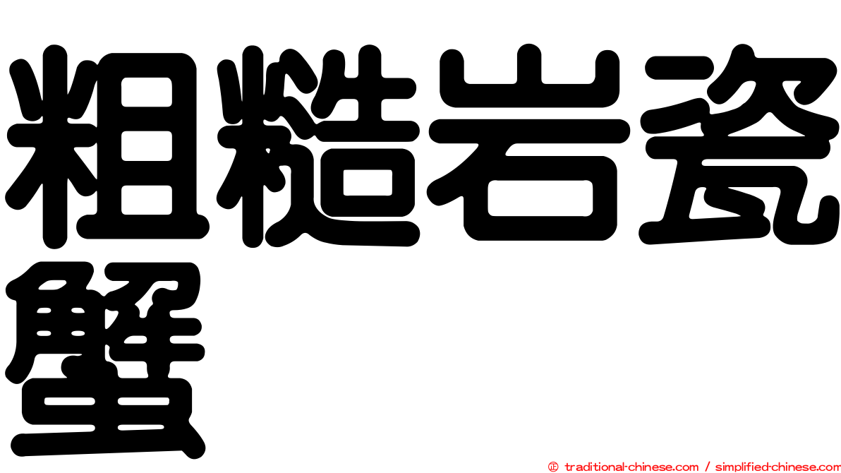 粗糙岩瓷蟹
