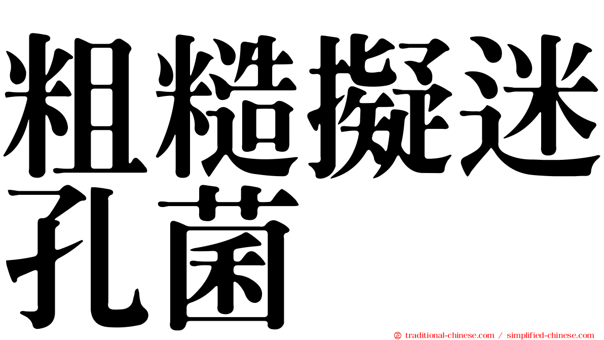 粗糙擬迷孔菌