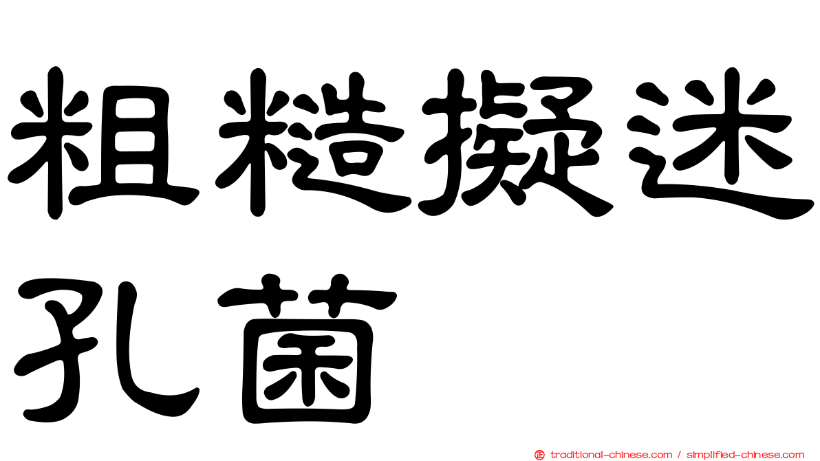 粗糙擬迷孔菌