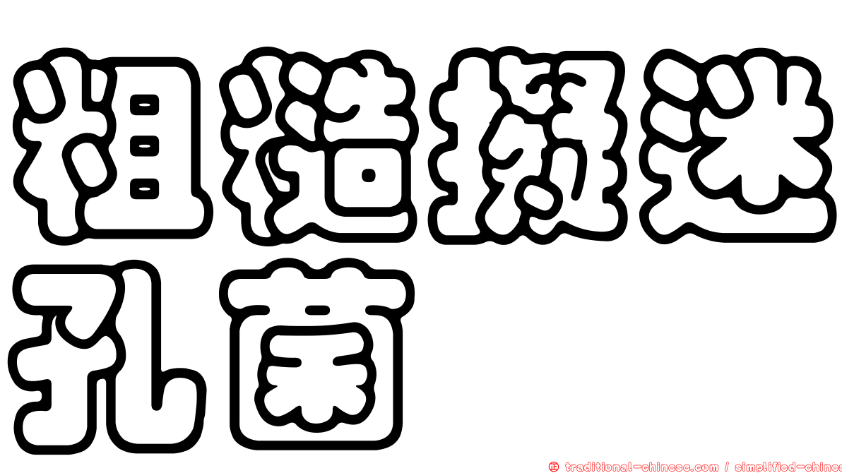 粗糙擬迷孔菌