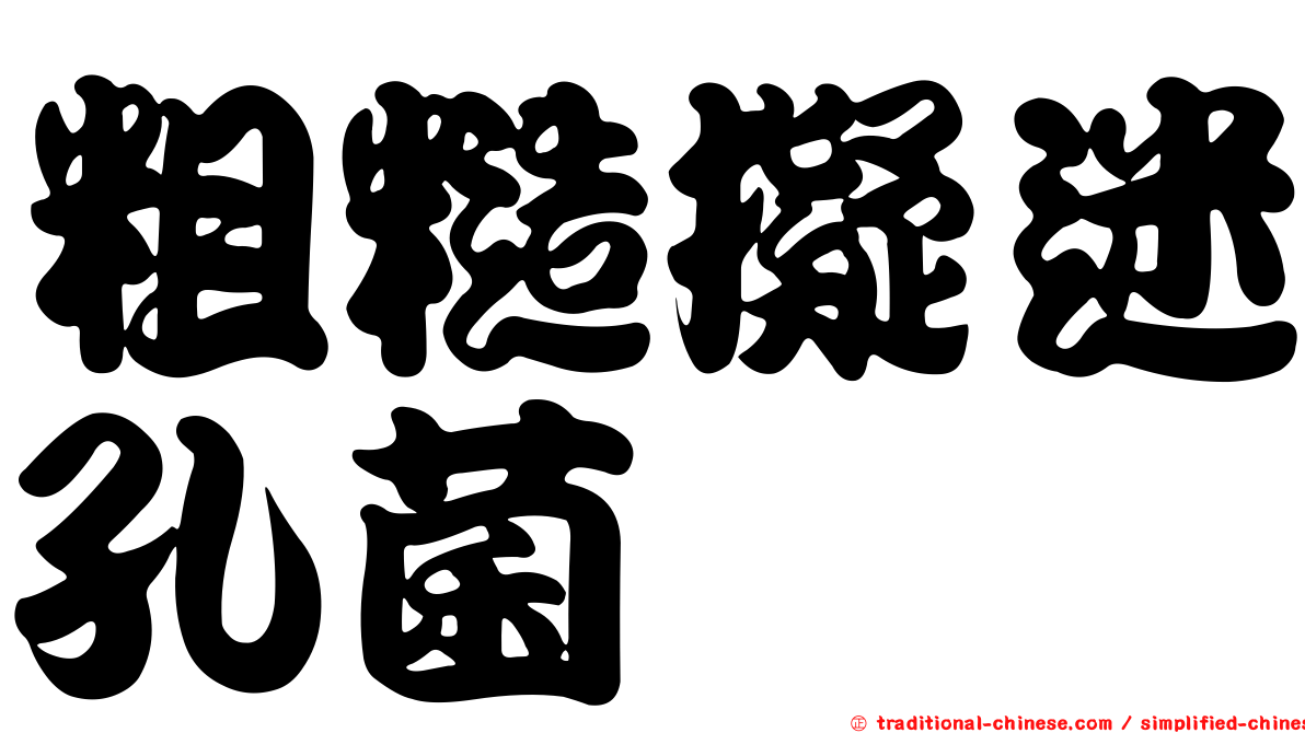 粗糙擬迷孔菌