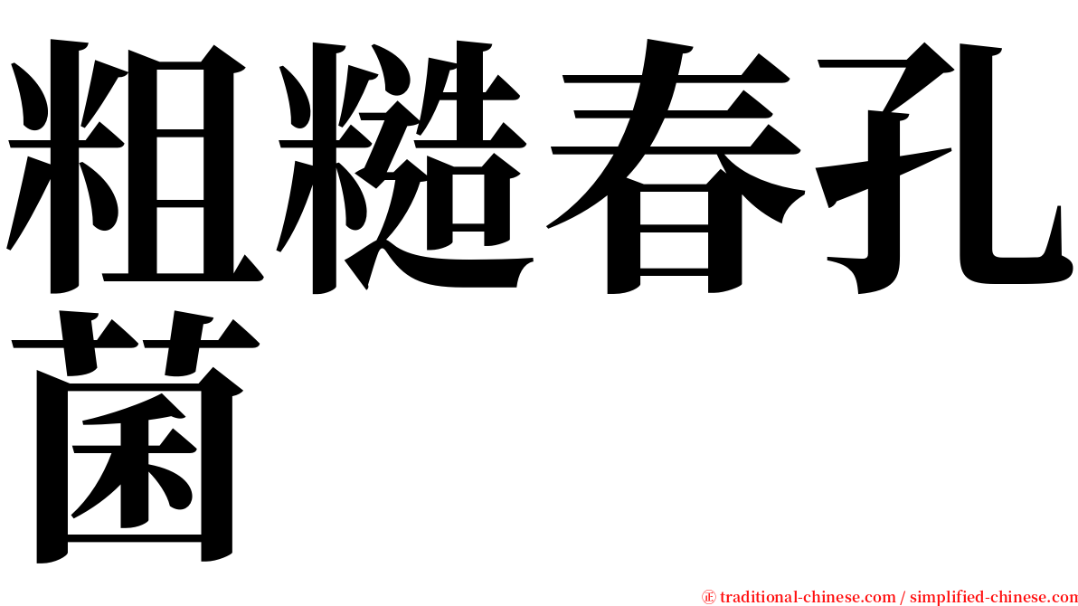 粗糙春孔菌 serif font