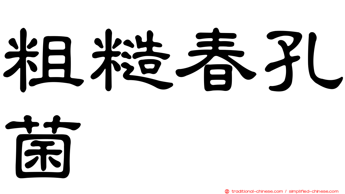 粗糙春孔菌