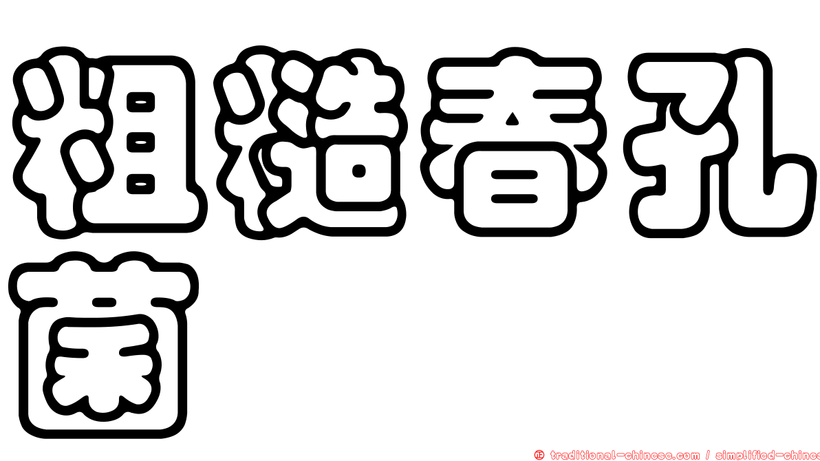 粗糙春孔菌