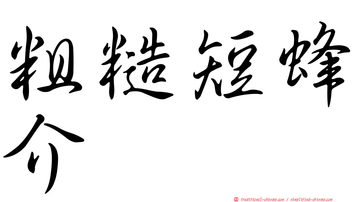 粗糙短蜂介