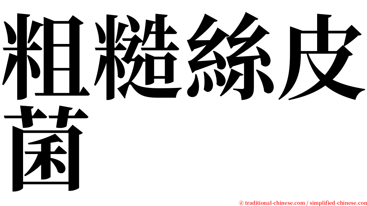 粗糙絲皮菌 serif font